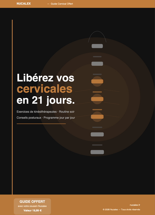 Guide + exercices
